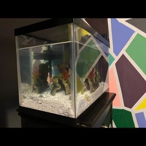 Fish tank 10-15 Gallon